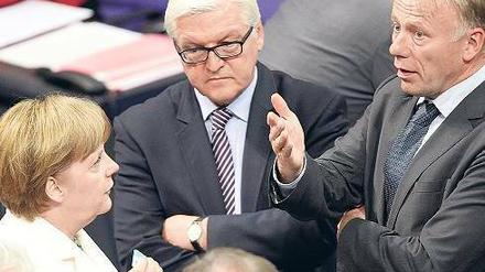 Kaum Vorfreude auf die nächsten Konflikte im Bundestag: Bundeskanzlerin Angela Merkel (CDU) unterhält sich am Freitag mit den Fraktionschefs von SPD und Grünen, Frank-Walter Steinmeier (Mitte) und Jürgen Trittin.