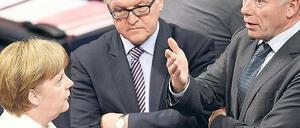 Kaum Vorfreude auf die nächsten Konflikte im Bundestag: Bundeskanzlerin Angela Merkel (CDU) unterhält sich am Freitag mit den Fraktionschefs von SPD und Grünen, Frank-Walter Steinmeier (Mitte) und Jürgen Trittin.