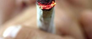 Dass Hanf in Deutschland verboten ist, Tabak und Alkohol aber nicht, ist eher ein historischer Zufall.