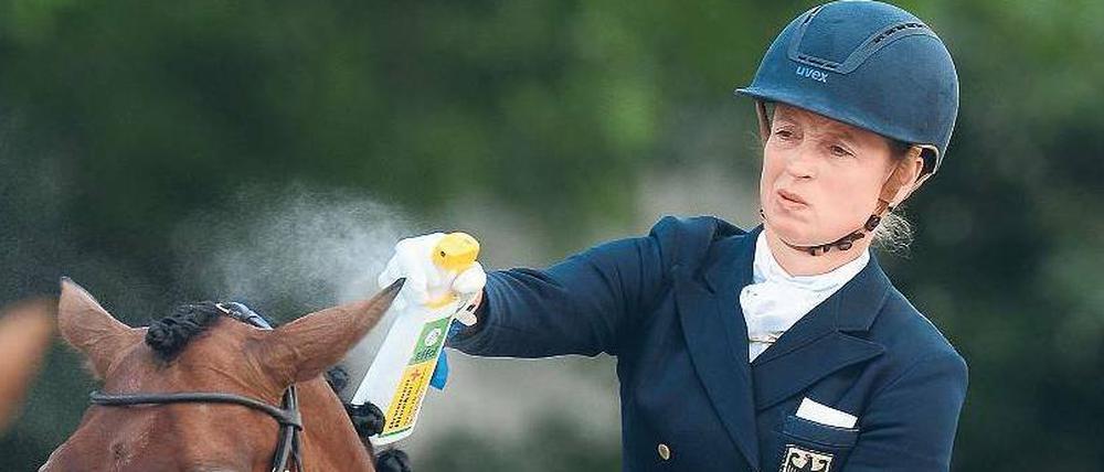 Mach die Biege, Fliege! Dressurreiterin Isabell Werth sprüht beim CHIO in Aachen ihr Pferd Don Johnson mit einem Schutzmittel gegen Bremsen ein.