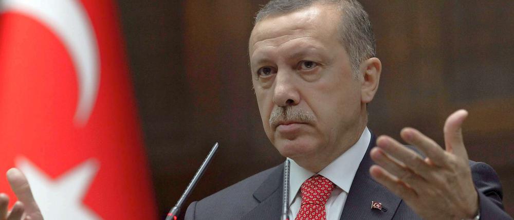 Der türkische Ministerpräsident Erdogan.
