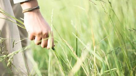 Schwer zu greifen. Vielen Krebsüberlebenden fällt es nicht leicht, in ihr altes Leben zurückzukehren. Woran das liegt, erkennen oft nur Spezialisten.