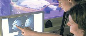 Gemeinsam entscheiden. Mehrere tausend neue Studienplätze sollen für die Berufe im Gesundheitswesen aufgebaut werden, fordert der Wissenschaftsrat. 