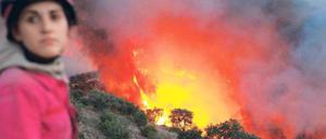 Lodernde Flammen an der Algarve. Hitze und Trockenheit sind die Ursache der Waldbrände, die in ganz Südeuropa immer wieder aufflammen.