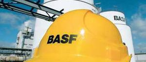 BASF-Werk in Brandenburg Foto: dapd