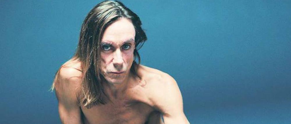 Die Zigaretten sind geraucht. Iggy Pop hält sich mit Schwimmen fit. 