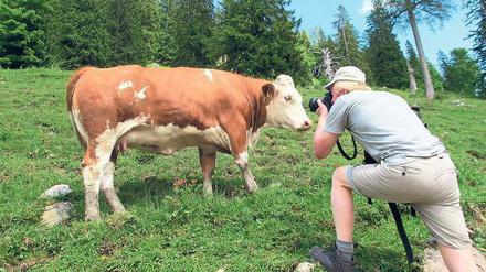 Wälder, Wiesen und Kühe – manchem Urlauber sind nicht nur Fotomotive wichtig, sondern auch die Umwelt.