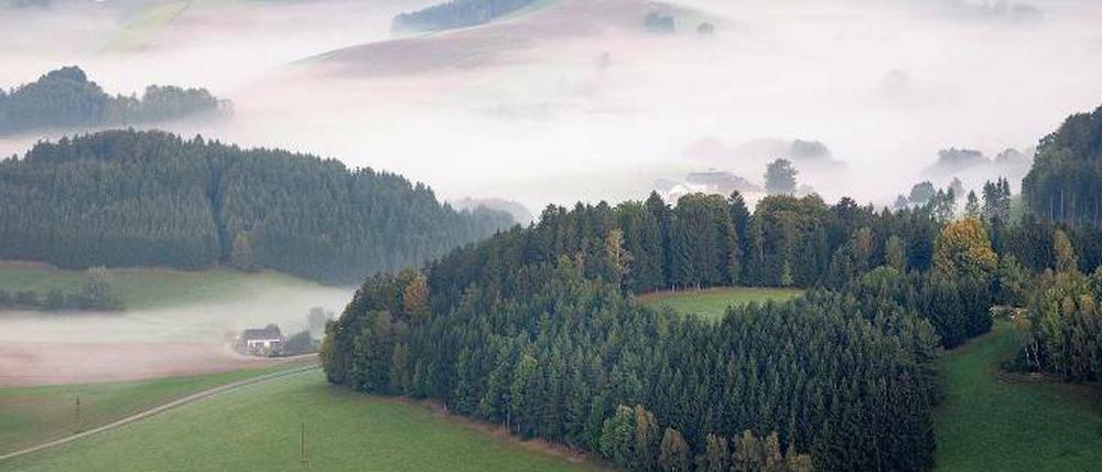 Dichterland. „Meine ganze Seele hängt an dieser Gegend“, schrieb Stifter über seine Heimat. Und hat ihr in Bildern und Geschichten ein Denkmal gesetzt. Im Mühlviertel, hier im Bild, versteht man es nur zu gut.