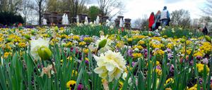 Blütenmeer: Die Marzahner Gärten der Welt. 