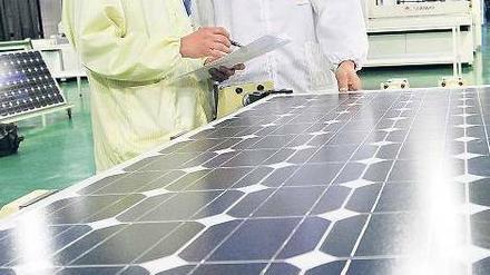 Weltmarktführer. In China werden heute 80 Prozent aller Solarmodule gefertigt.Foto: dapd
