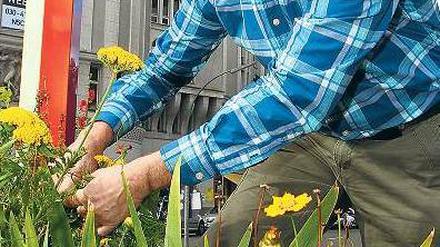 Ab in die Stauden. Rudolf Hampel und die Initiative Mann-O-Meter sorgen seit Jahren dafür, dass es am tristen Nollendorfplatz von Frühjahr bis Herbst blüht. 
