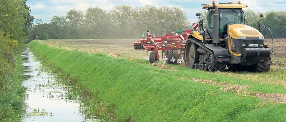 Repariert. Die Entwässerungskanäle wurden seit den Zeiten Friedrich II. instand gehalten. Das änderte sich mit der Wende – bis das Hochwasser kam. Foto: dpa/Patrick Pleul