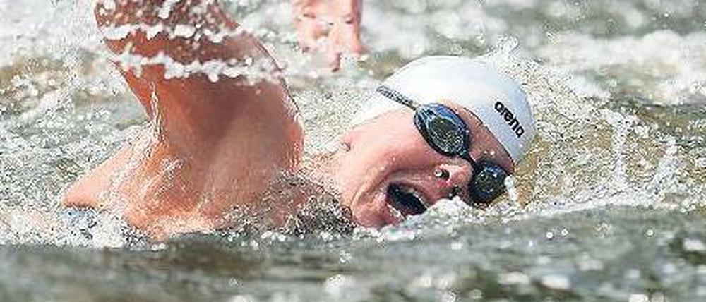 Heimvorteil für Enten. Angela Maurer schwimmt im Serpentine Lake. Foto: dapd