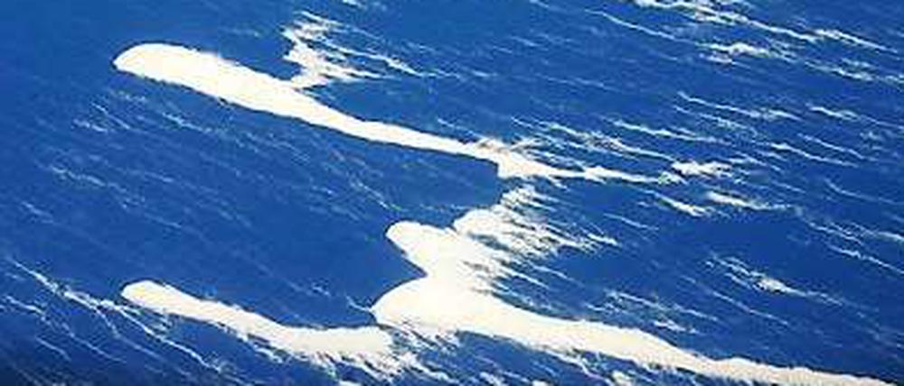 Schwimmende Steine. Luftaufnahme von unzähligen Bimssteinen, die auf der Oberfläche des Pazifik nahe Raoul Island (Neuseeland) treiben.
