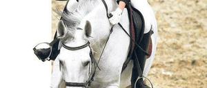 Die Klepper-Lotterie. Beim Springreiten werden die Pferde zugelost – für Lena Schöneborn kann sich hier viel entscheiden. Foto: AFP