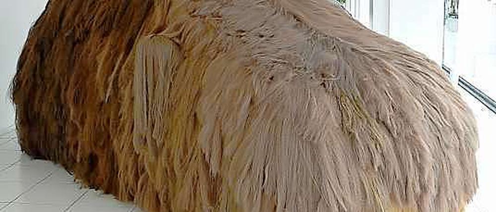 Dies ist ein Auto mit Fell