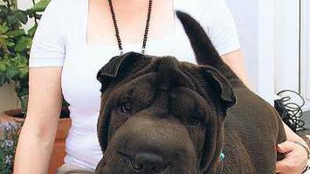Bisschen Babyspeck. Alola, ein Shar Pei-Mädchen, ist Michaela Hofmanns Wunschhund. Für den richtigen Vater fuhr sie bis nach Holland.