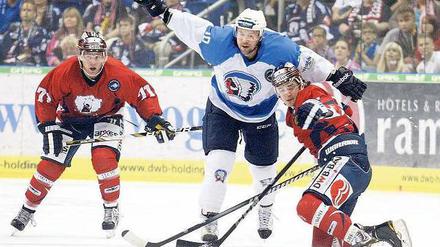 Wo ist denn hier der Puck? Mark Katic (links) hatte in seinem ersten Spiel für die Eisbären gegen den HC Pilsen noch Probleme mit der Orientierung – auch wenn er für seinen neuen Kollegen Daniel Weiß (rechts) später ein Tor vorbereiten konnte. 
