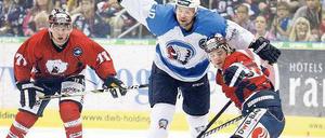 Wo ist denn hier der Puck? Mark Katic (links) hatte in seinem ersten Spiel für die Eisbären gegen den HC Pilsen noch Probleme mit der Orientierung – auch wenn er für seinen neuen Kollegen Daniel Weiß (rechts) später ein Tor vorbereiten konnte. 