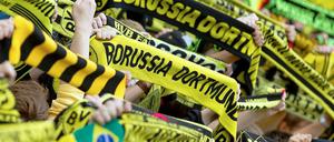 Das Fanerlebnis in der Bundesliga ist unbezahlbar.