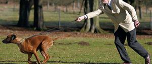 Wer bellt hier, wo's lang geht?