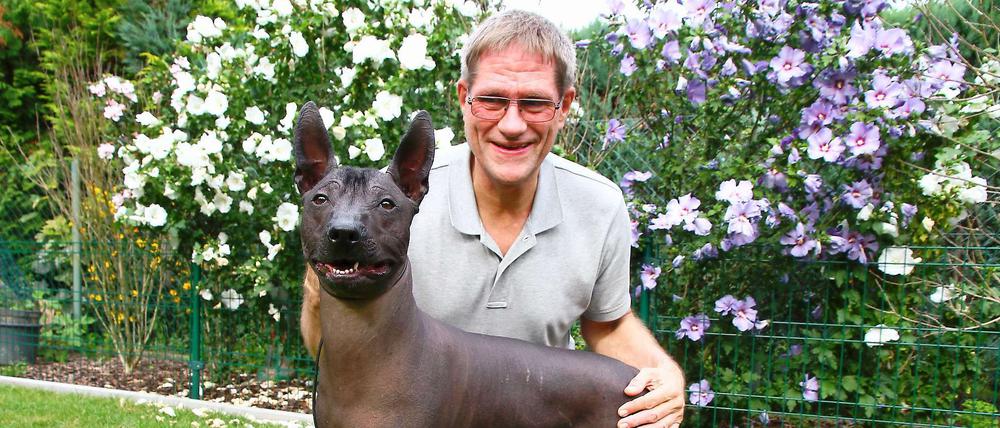 Wie in Stein gemeißelt. Das Posieren hat der Hund drauf: Macho, ein dreijähriger mexikanischer Nackthund, ist der Stolz des Lichtenraders Jörg Rook. Auf Hundeschauen ist der schwarze Rüde der große Abräumer.