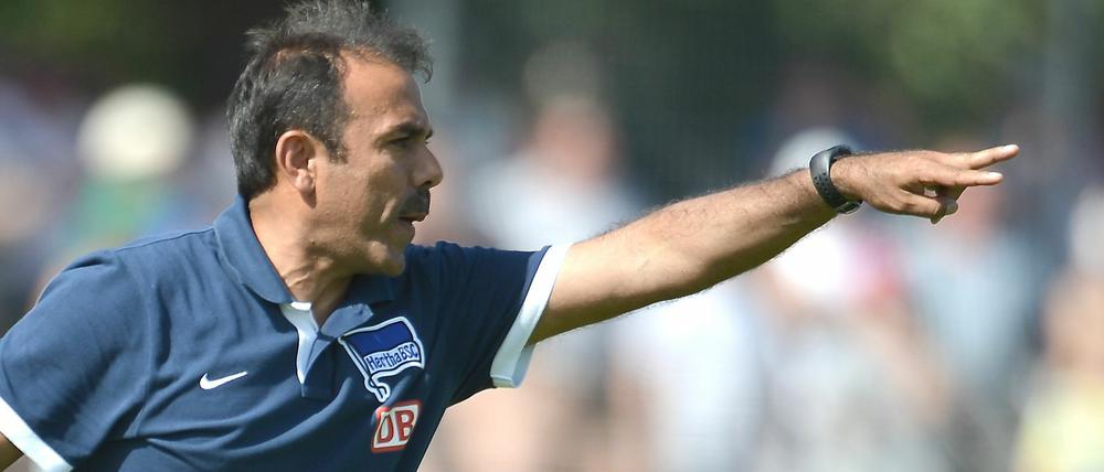 Jos Luhukay.