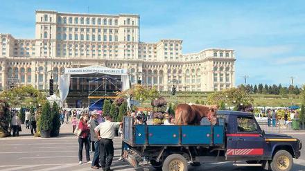 Gaul und Größenwahn. Vorbereitungen für ein Volksfest vor dem Bukarester Parlamentspalast.