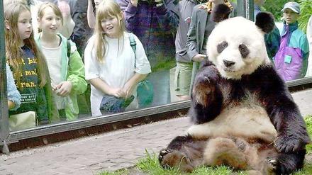 Bao Bao, eine echte Diva. (Foto aus dem Jahr 2000)