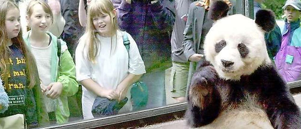 Bao Bao, eine echte Diva. (Foto aus dem Jahr 2000)