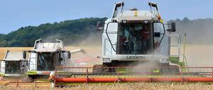 Die Preise für Agrarrohstoffe explodieren.