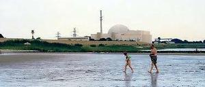 Das runde Ding (hinten) soll 2021 abgeschaltet werden. Der Elbstrand in Brokdorf mit Atomkraftwerk. 