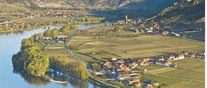Donaublick. In der Wachau macht sich der Fluss schön breit.