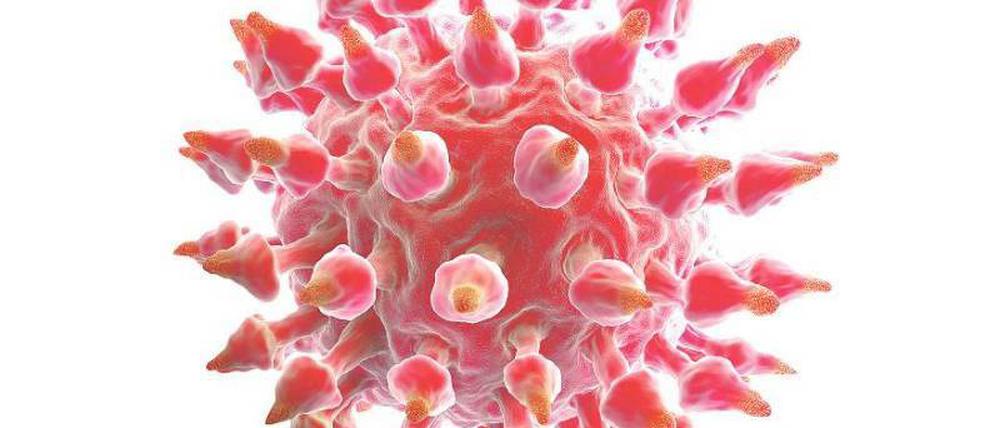 Warzenvirus. Humane Papillomaviren können Warzen verursachen. Sie führen aber auch zu Krebs an Gebärmutterhals, Schamlippen, Penis oder Anus.