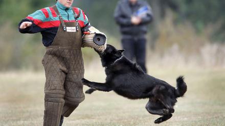 Die Polizei setzt Hunde als "Hilfsmittel körperlicher Gewalt" ein, ähnlich wie Pfefferspray