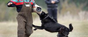 Die Polizei setzt Hunde als "Hilfsmittel körperlicher Gewalt" ein, ähnlich wie Pfefferspray