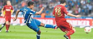 Jetzt geht’s los! Sami Allagui trifft zum 1:0 gegen Regensburg, Herthas erstem Führungstor in dieser Saison. Foto: dpa