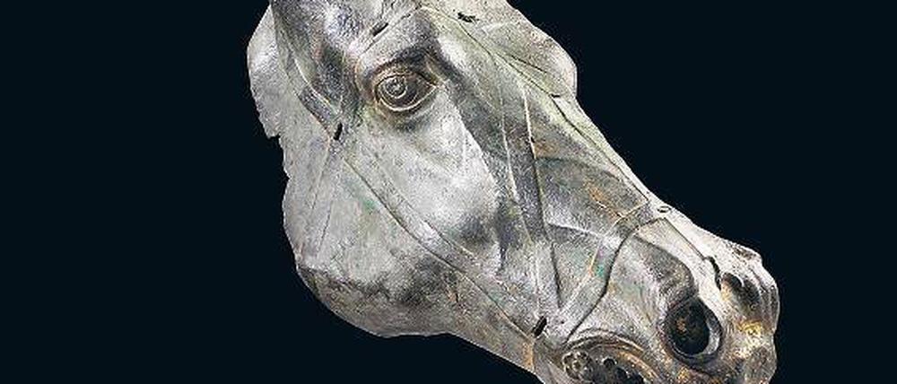 Der gelenkte Gaul: Ein bronzenen Pferdekopf aus der ersten Hälfte des ersten Jahrhunderts nach Christi, der wahrscheinlich zu einem kaiserlichen Triumphgespann gehörte.