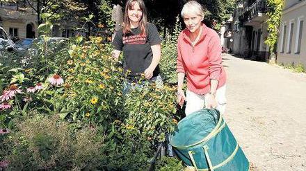 Kiezgärtnerinnen. Karin Biel, 70, und Britta Bredel, 44, bei der Pflanzenpflege – an der Baumscheibe in der Reichenberger Straße. Foto: Georg Moritz