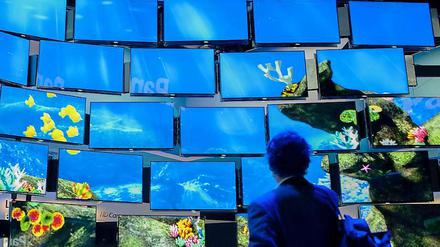Die ersten Besucher sind schon da: Offiziell öffnet die Ifa 2012 am Freitag 31. August.