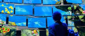Die ersten Besucher sind schon da: Offiziell öffnet die Ifa 2012 am Freitag 31. August.
