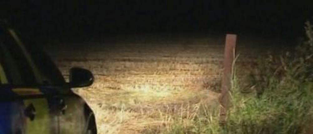 Bilder einer Suchaktion: Ein entlaufener Löwe hält Essex in Atem.