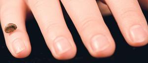 Überreste. Ein winziger Knochen genügte für die Analyse des Erbguts.