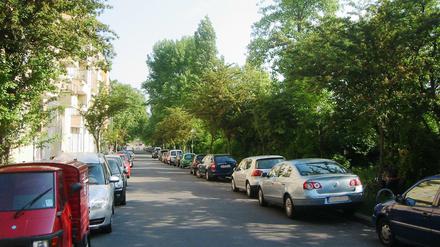 Hier soll es am 15. September ans Werk gehen. Am Aktionstag wird in der Bautzener Straße sauber gemacht.