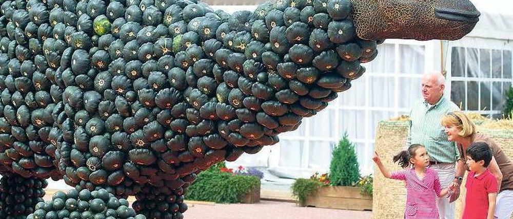 Süßes oder Saurier? Aus 28 000 Kürbissen wurden in Klaistow zehn große Dinos gestaltet. Foto: dapd/Heimann