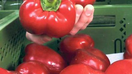 Lecker, aber nicht gesünder. Gemüse vom Bio-Markt ist sehr beliebt. Die Öko-Lebensmittelbranche setzt in Deutschland insgesamt sechs Milliarden Euro jährlich um.