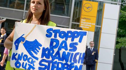 Zum zweiten Mal rief die Flugbegleiter-Gewerkschaft Ufo im Rahmen der aktuellen Tarifkonflikte zwischen Lufthansa-Führung und Flugbegleitern zu Streiks auf. Nun soll das bundesweit gestreikt werden.