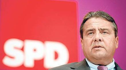 SPD-Parteivorsitzender Sigmar Gabriel gibt zu, dass es „zwischen den Verwandten“ auch Streit gibt.