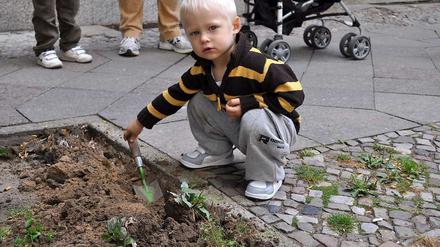 Der kleine Igor (2) gräbt fleißig die Unkrautpflanzen aus, damit das Beet in der Emdener Straße mit vielen bunten Blumen bepflanzt werden kann.