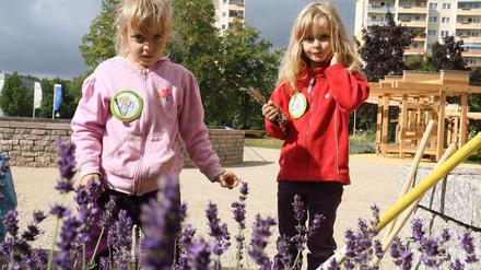 Die Zwillinge Paula und Pia zupfen Unkraut aus dem Lavendel und helfen, den Kiezpark an der Schwarzburger Straße in Marzahn sauber zu halten.